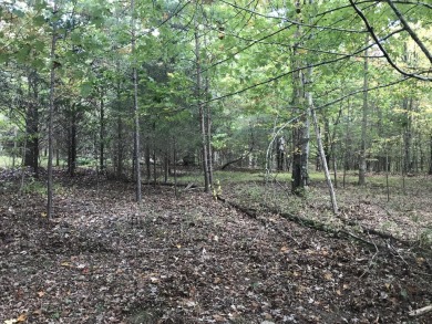 Lake Acreage For Sale in Dunlap, Tennessee