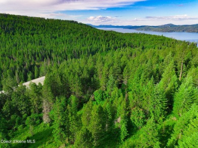 (private lake, pond, creek) Acreage For Sale in Harrison Idaho