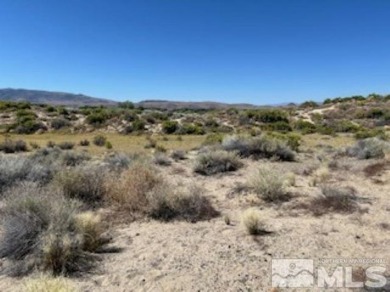 Lake Lot For Sale in Silver Springs, Nevada