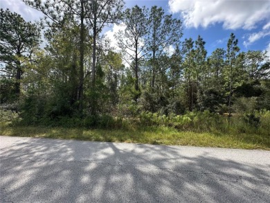 Bonable Lake Lot For Sale in Dunnellon Florida