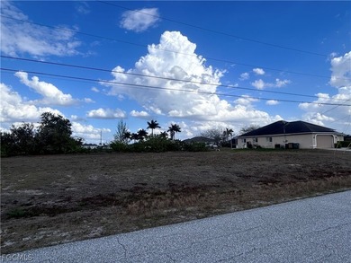 Great opportunity to build your dream home on this 120 ft canal - photo 2