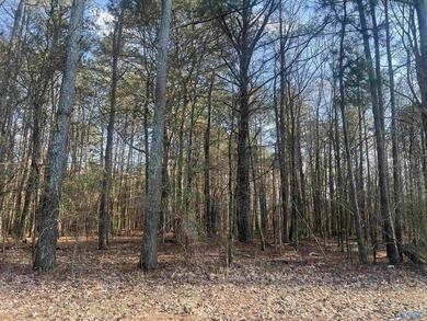 Own 1.30 acres of wooded land minutes from Weiss Lake in Centre - photo 2