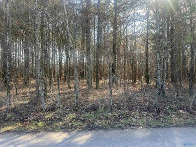 Own 1.30 acres of wooded land minutes from Weiss Lake in Centre - photo 3