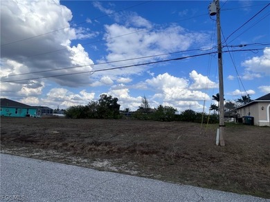 Great opportunity to build your dream home on this 120 ft canal - photo 4