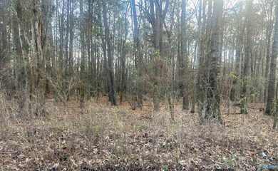 Own 1.30 acres of wooded land minutes from Weiss Lake in Centre - photo 4