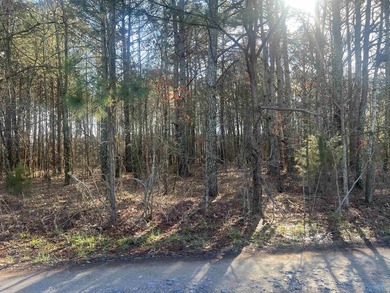 Own 1.30 acres of wooded land minutes from Weiss Lake in Centre - photo 5