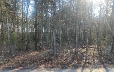 Own 1.30 acres of wooded land minutes from Weiss Lake in Centre - photo 6