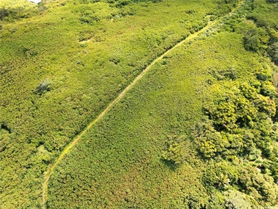 Rare opportunity to own approximately 7.164 acres of AG-1 - photo 9