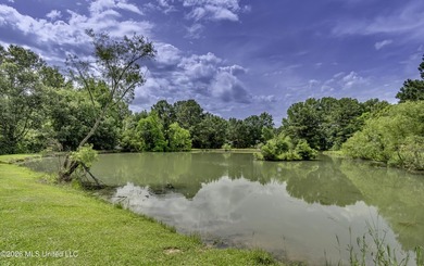 180 Johnson Ln in Canton, right off Yandell Road in Madison - photo 44