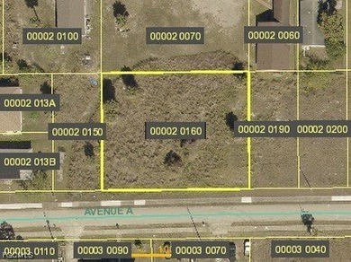 Lehigh Acres Area Lot For Sale in Alva Florida