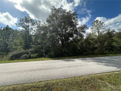 Bonable Lake Lot For Sale in Dunnellon Florida