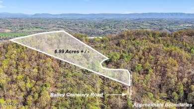 (private lake, pond, creek) Acreage Sale Pending in Tazewell Tennessee