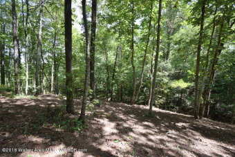 CROOKED CREEK-Wooded and very private! Located on the Cullman - Lake Acreage For Sale in Logan, Alabama