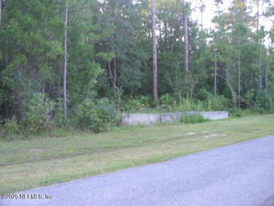 The area around Jacksonville International Airport is a hub for - photo 8