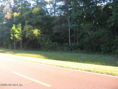 The area around Jacksonville International Airport is a hub for - photo 9