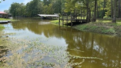 Toledo Bend Lake Home For Sale in Hemphill Texas