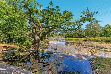A Once-in-a-Generation Opportunity: 1765 Heritage Meets Modern - photo 10
