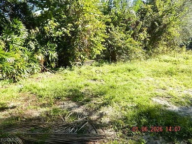 Build Your Dream Home: River Views & Boat Access at Your - photo 13