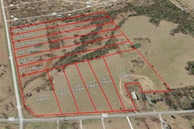 Lake Acreage Off Market in Emory, Texas