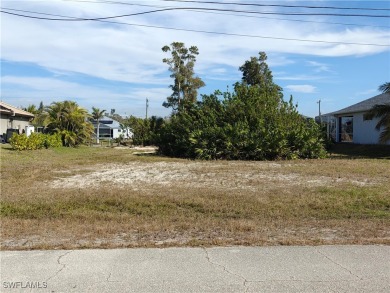 Cape Coral Lakes Area Lot Sale Pending in Cape Coral Florida