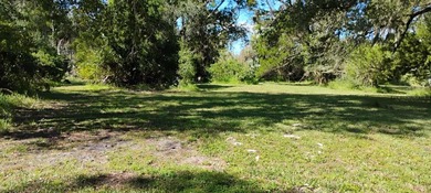 Withlacoochee River Lot For Sale in Yankeetown Florida