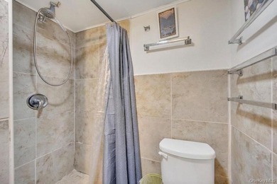 Expanded 4 bed, 4 bath Colonial featuring a full finished - photo 32