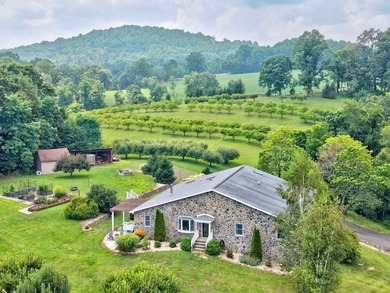PRIVATE, GATED BLUE RIDGE MOUNTAIN ESTATE on 15.5 unrestricted - photo 4