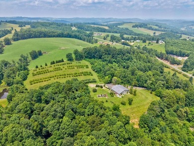 PRIVATE, GATED BLUE RIDGE MOUNTAIN ESTATE on 15.5 unrestricted - photo 10