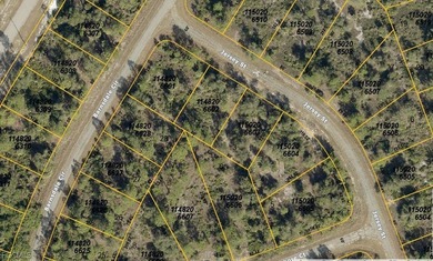 Build your dream home on this beautiful vacant lot located in a - photo 3