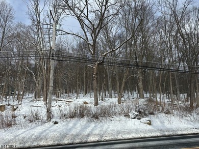 Residential R-3 zoned lot located on Stanhope Road offering - photo 3