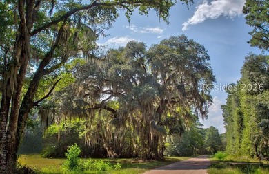 One of the rare opportunities to own in Beachfield on Daufuskie - photo 4