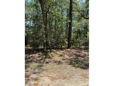 Lake Sam Rayburn  Lot For Sale in Brookeland Texas