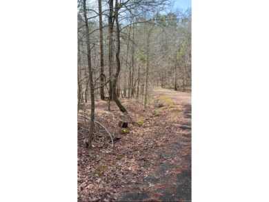 Lake Lot For Sale in Hot Springs Village, Arkansas