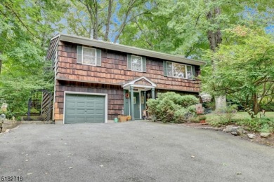 Erskine Lake Home Sale Pending in Ringwood New Jersey