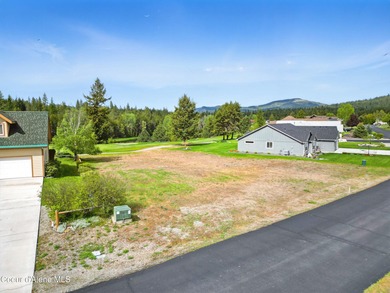 Seller Financing available. HOLE IN ONE! On one of the last - photo 7