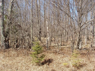 (private lake, pond, creek) Lot For Sale in Park Falls Wisconsin