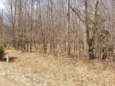 (690/PB) Enjoy a panoramic view of the Northfork of the Flambeau - photo 2