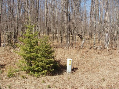 (690/PB) Enjoy a panoramic view of the Northfork of the Flambeau - photo 3