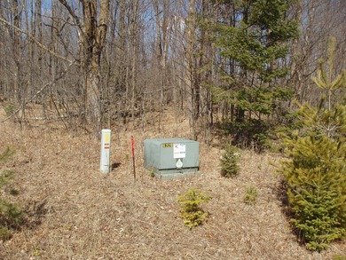 (690/PB) Enjoy a panoramic view of the Northfork of the Flambeau - photo 4