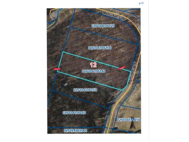(690/PB) Enjoy a panoramic view of the Northfork of the Flambeau - photo 7