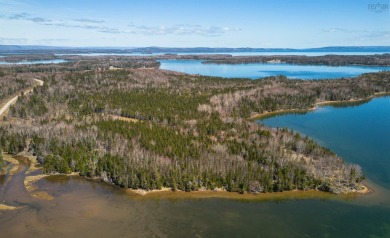 Lake Lot For Sale in Malagawatch,