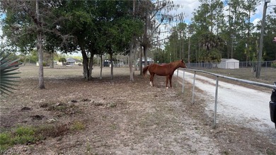 2.84 Acres 100% uplands - sold together with MLS which has 2 - photo 4