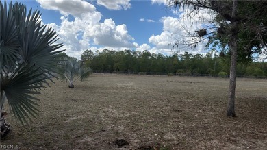 2.84 Acres 100% uplands - sold together with MLS which has 2 - photo 6