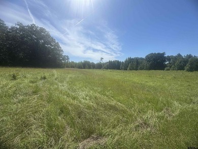 20.869 Acres Backing Up to a Creek - Ideal for Your Hobby Farm! - photo 2