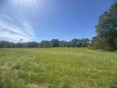 20.869 Acres Backing Up to a Creek - Ideal for Your Hobby Farm! - photo 3