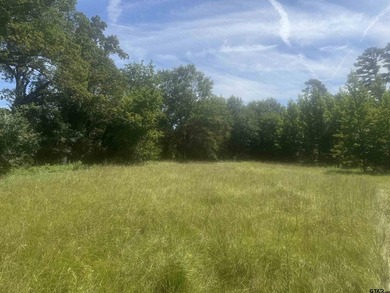 20.869 Acres Backing Up to a Creek - Ideal for Your Hobby Farm! - photo 4