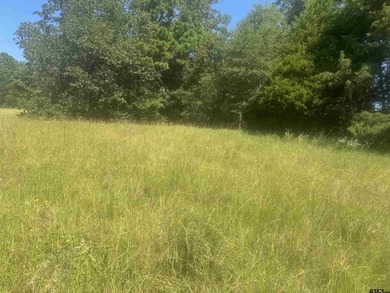 20.869 Acres Backing Up to a Creek - Ideal for Your Hobby Farm! - photo 5