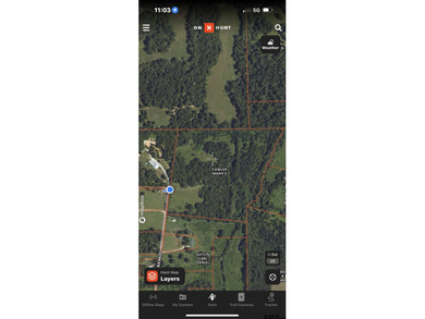 20.869 Acres Backing Up to a Creek - Ideal for Your Hobby Farm! - photo 6