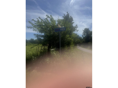 20.869 Acres Backing Up to a Creek - Ideal for Your Hobby Farm! - photo 7