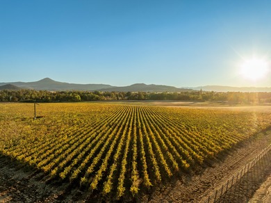 Surrounded by the natural beauty of Southern Oregon's Rogue